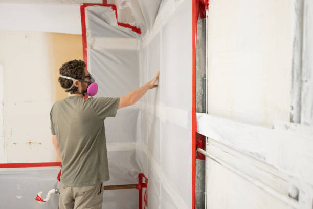 Mold Odor Removal Services in Redwood Valley, CA
