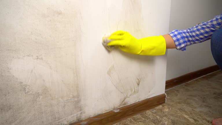 Best Air Quality Testing for Mold Spores  in Redwood Valley, CA